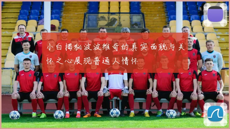 小白揭秘波波维奇的真实面貌与关怀之心展现普通人情怀