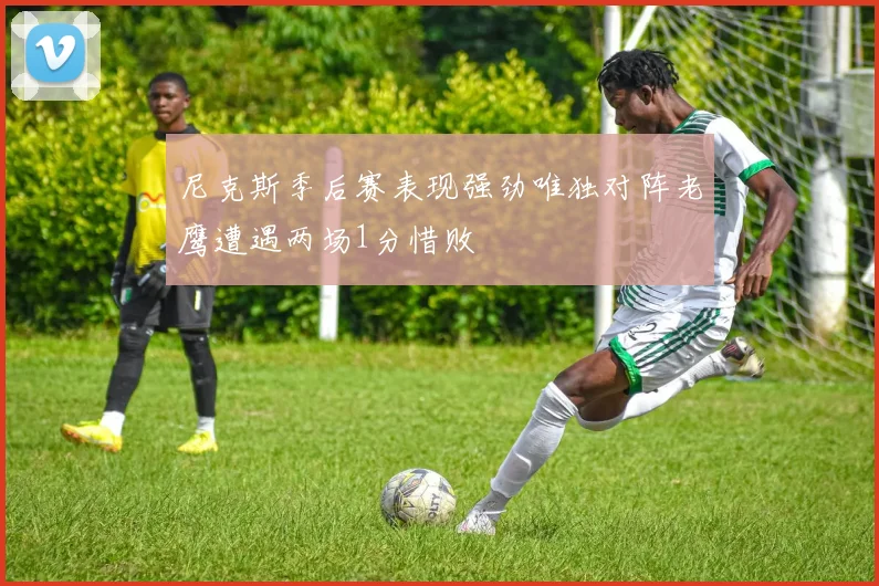 尼克斯季后赛表现强劲唯独对阵老鹰遭遇两场1分惜败