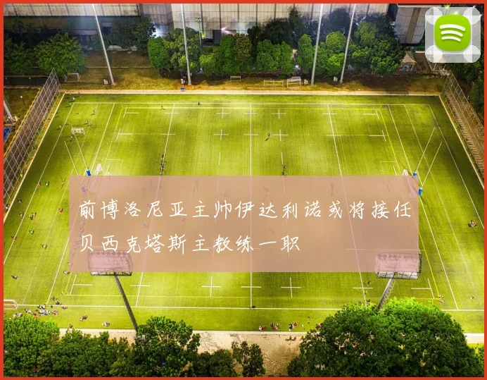 前博洛尼亚主帅伊达利诺或将接任贝西克塔斯主教练一职